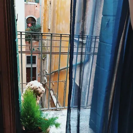 Rainbow Casa de hóspedes Veneza